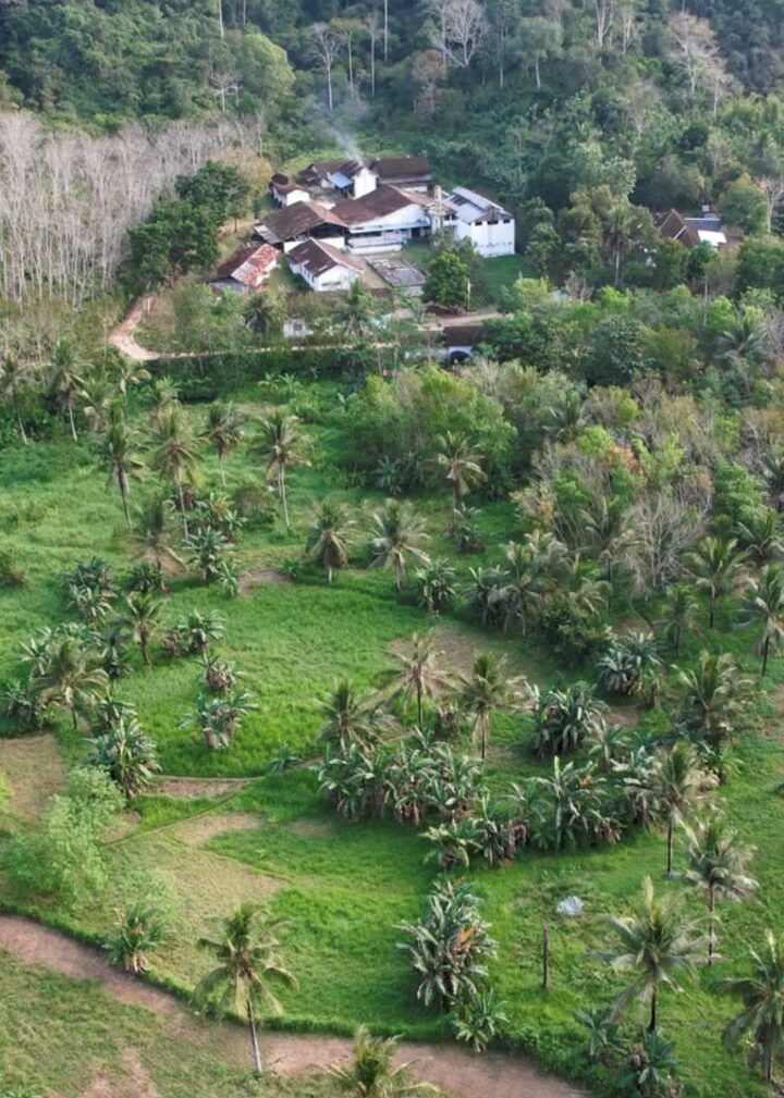 ruta por indonesia vista aerea de un acampo lleno de palmeras y una casa blanca